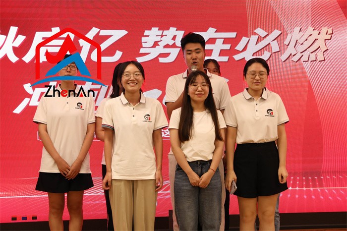 Metal Silicon Powder Alloy Metal Silicon Powder Alloy